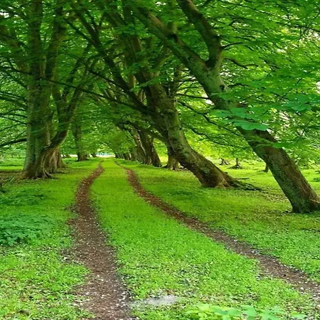 Holiday home Strandbungalow,