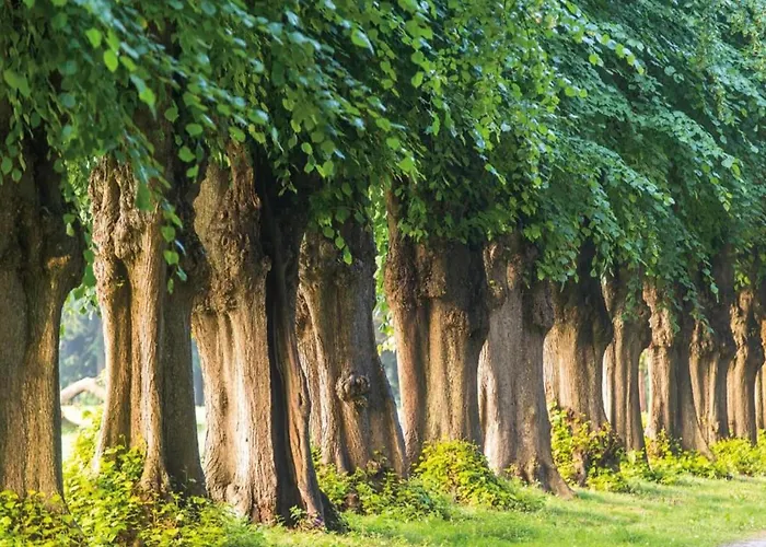 Prázdninový dům Strandbungalow,