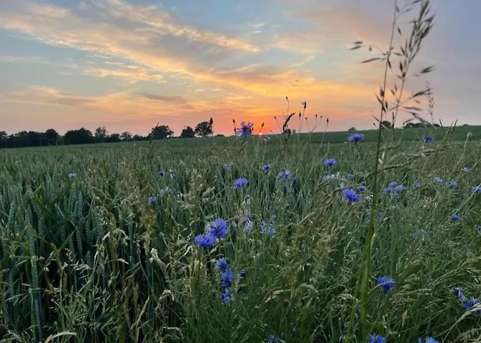 Strandbungalow, Prázdninový dům *