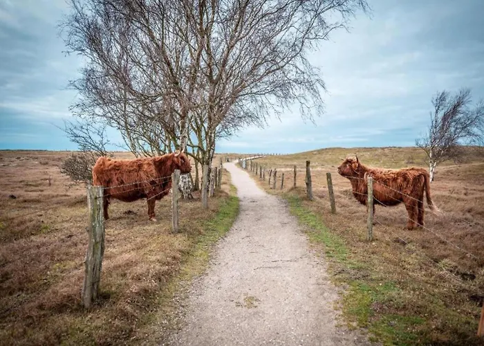 Strandbungalow, Prázdninový dům