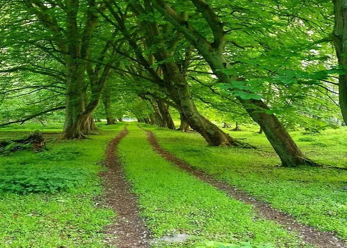 Prázdninový dům Strandbungalow,